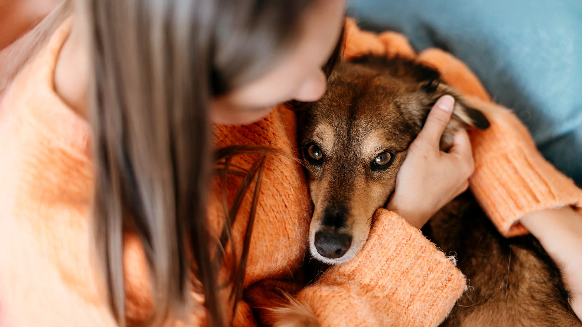 A woman in an orange sweater gently hugging and comforting her brown dog, showing a close emotional bond.